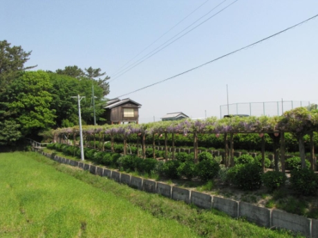 画像22
